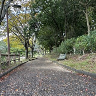 カウンセラー育成スクール 大阪・難波 TKN心理サロン　艶話-先送り