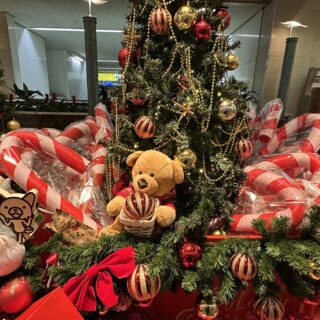 カウンセラー育成スクール 大阪・難波 TKN心理サロン　最高の褒め言葉