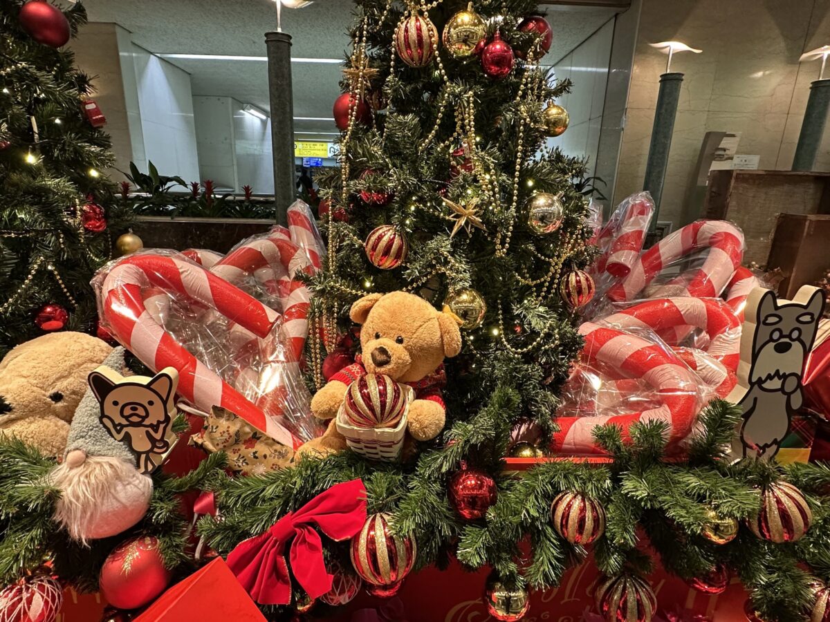 カウンセラー育成スクール 大阪・難波 TKN心理サロン　最高の褒め言葉