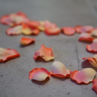 花びら