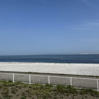 海
