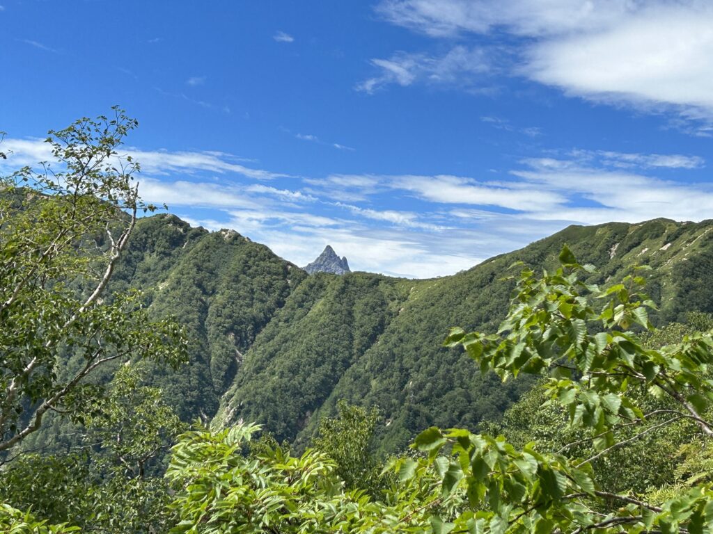山