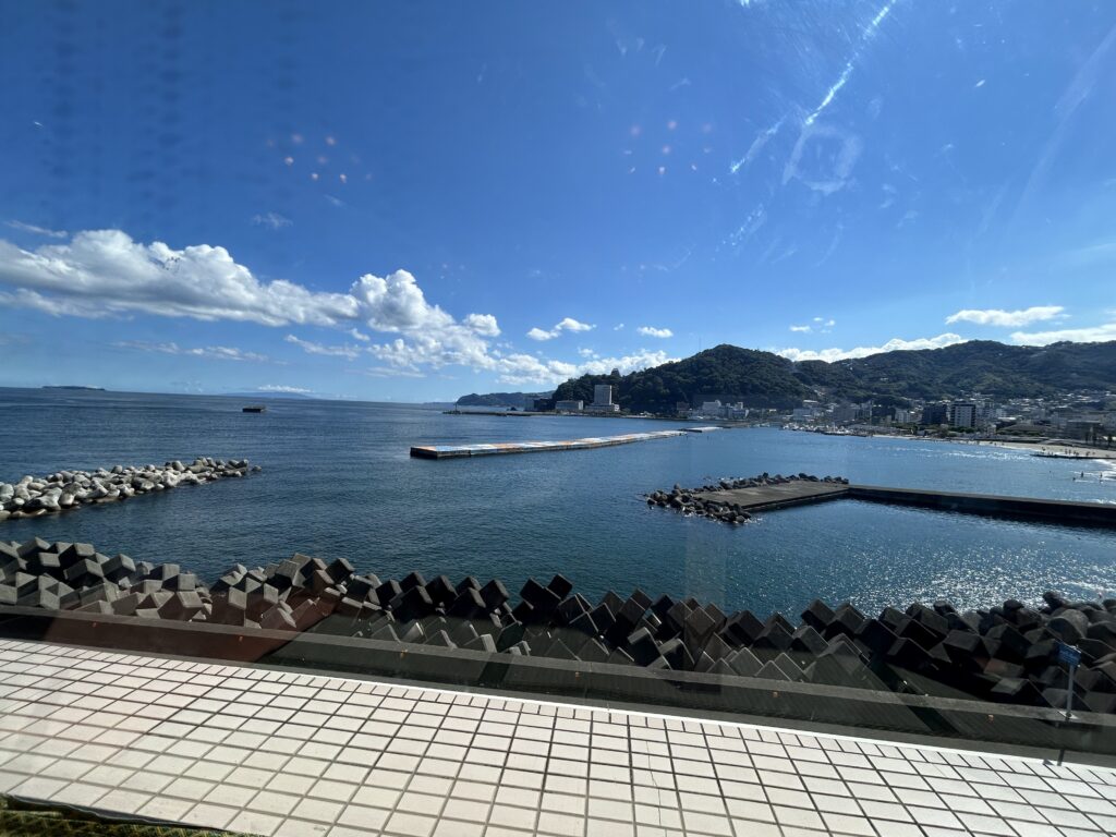 海