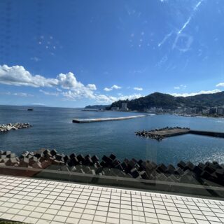 海