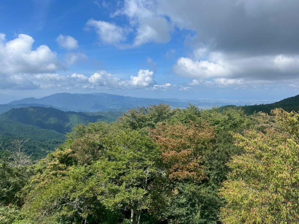 山