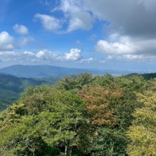 山