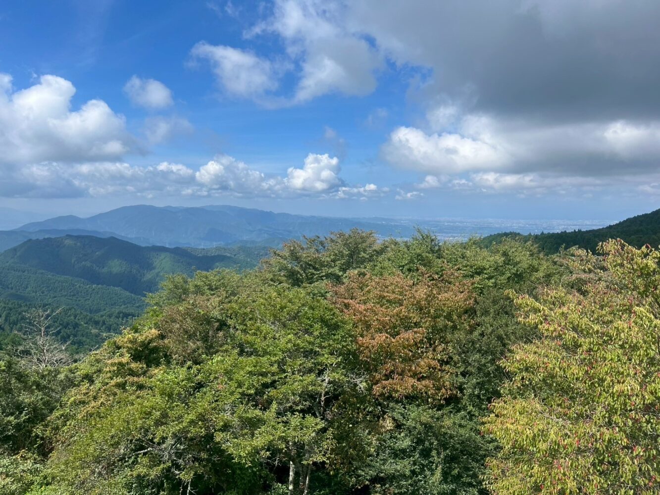 山